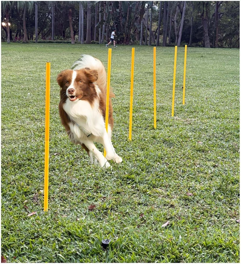 sinmajor Dog Agility Equipment, Agility Poles, Dog Jumps, Outdoor Obstacle Course with 6 Weave Poles and Adjustable Jump Bar, Partial Gift Conversion Buckle (Blind Box) Yellow - Image 2